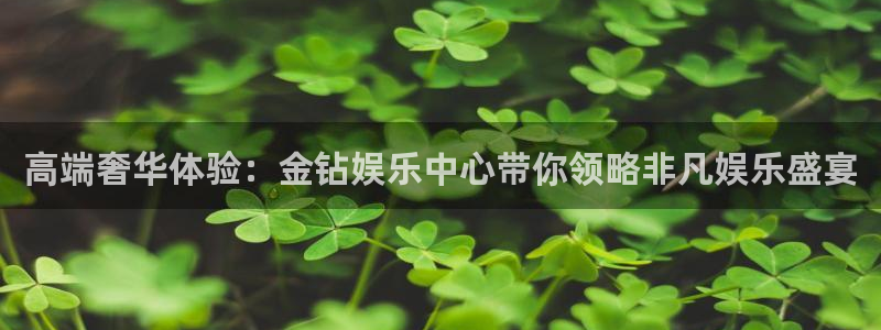 恩佐娱乐