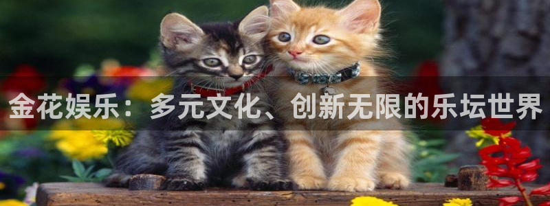 恩佐娱乐