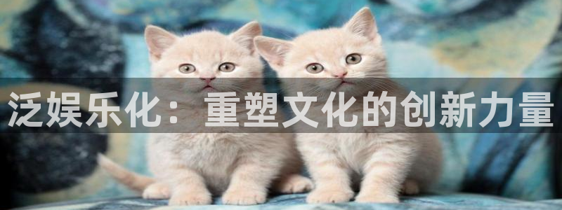 恩佐娱乐