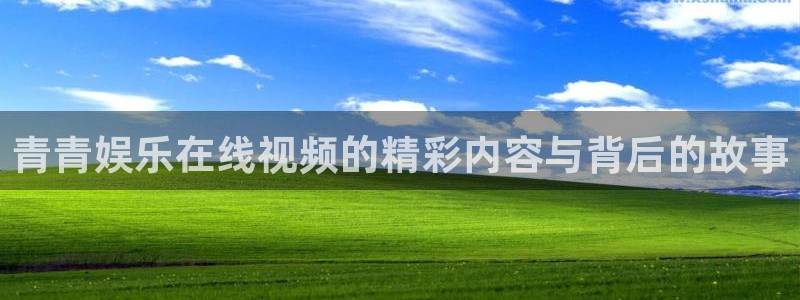 恩佐娱乐