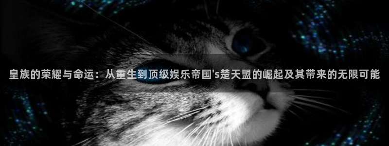 恩佐娱乐