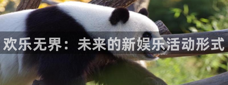 恩佐娱乐