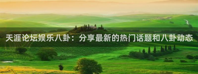 恩佐娱乐