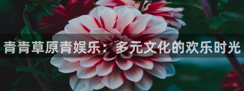 恩佐娱乐